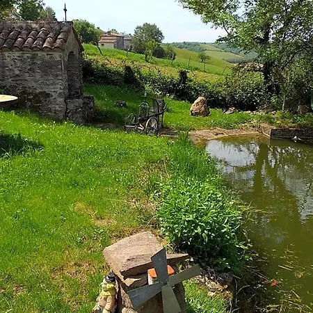 Bed & Breakfast Maison Belvoir *